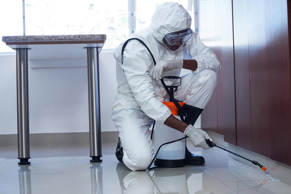 11 common pest control mistakes one must avoid